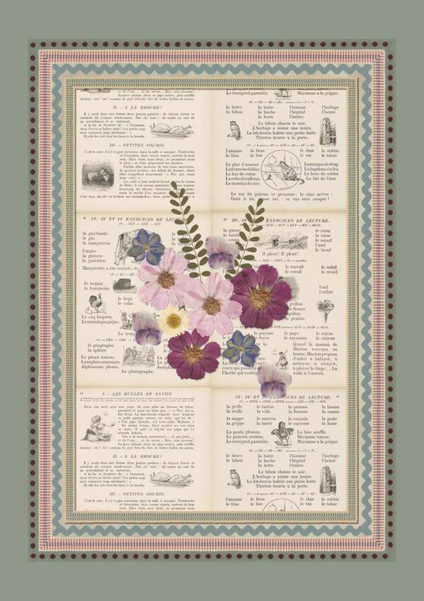Pressed Flower Collage A - The World of - Laura Stephens