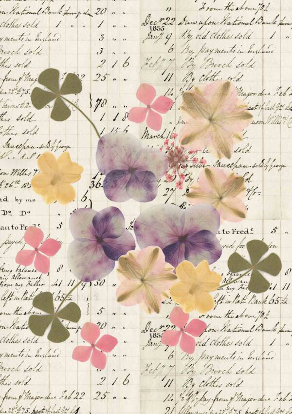 Pressed Flower Collage B - The World of - Laura Stephens