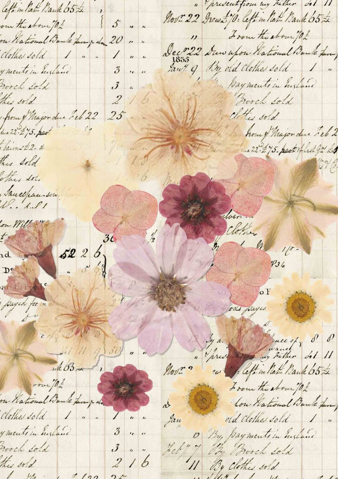 Pressed Flower Collage C - The World of - Laura Stephens